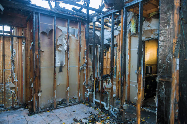 Professional Fire Damage Repair technician working in Von Ormy, TX